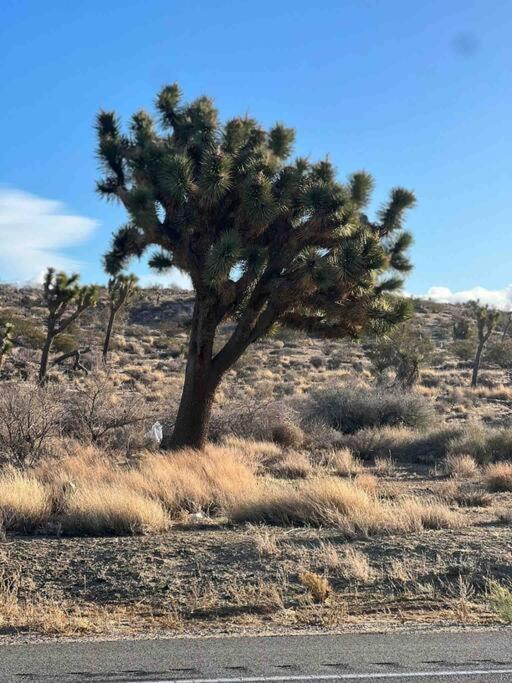 Apartamento Joshua Tree National Park - Cozy Palms Getaway Twentynine Palms Exterior foto